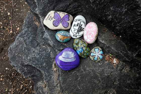 PHIL HOSSACK / WINNIPEG FREE PRESS A sampling of painted rocks from the group Winnipeg Rocks, which leaves painted rocks along city trails for passers-by to find.