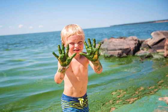 MIKAELA MACKENZIE / WINNIPEG FREE PRESSShea Keast, six, shows his hands after touching the algae bloom at Connaught Beach in Victoria Beach.