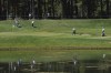 Golfers reach the sixth green during the second round of the Barracuda Championship golf tournament at Old Greenwood Golf Course in Truckee, Calif., Friday, July 15, 2022. (Jason Bean/The Reno Gazette-Journal via AP)