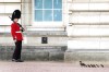 A young family of Tufted ducks walk near to a soldier from the Queen's Guard on the forecourt of Buckingham Palace during warm weather in London, Sunday July 17, 2022 The Met office has issued its first-ever “red warning” of extreme heat for Monday and Tuesday, when temperatures in southern England may reach 40 C (104 F) for the first time. (Victoria Jones/PA via AP)