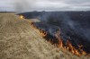 Grain fields burn, on the outskirts of Kurakhove, Donetsk Oblast, eastern Ukraine, Thursday, July 21, 2022. (AP Photo/Nariman El-Mofty)
