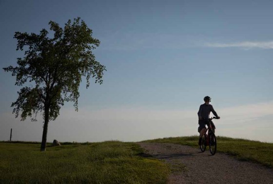 Jessica LeeA cyclist on a trail in Westview Park on Sunday. (Jessica Lee / Winnipeg Free Press)