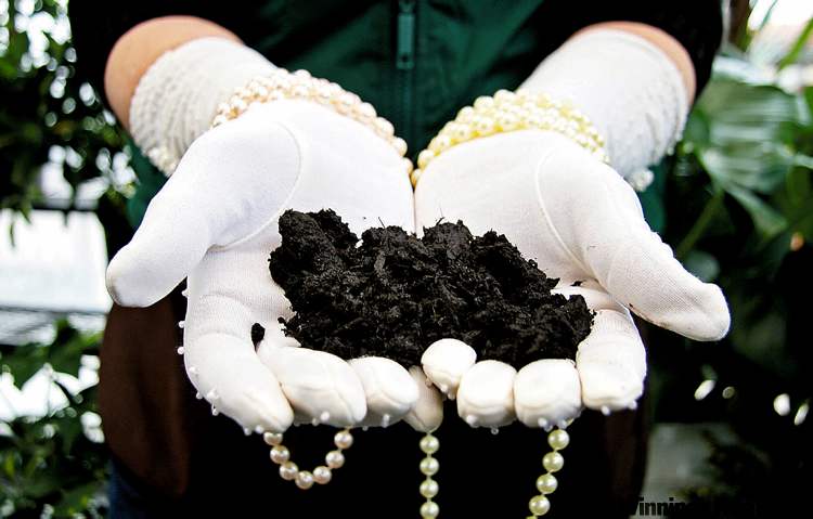 Sea soil