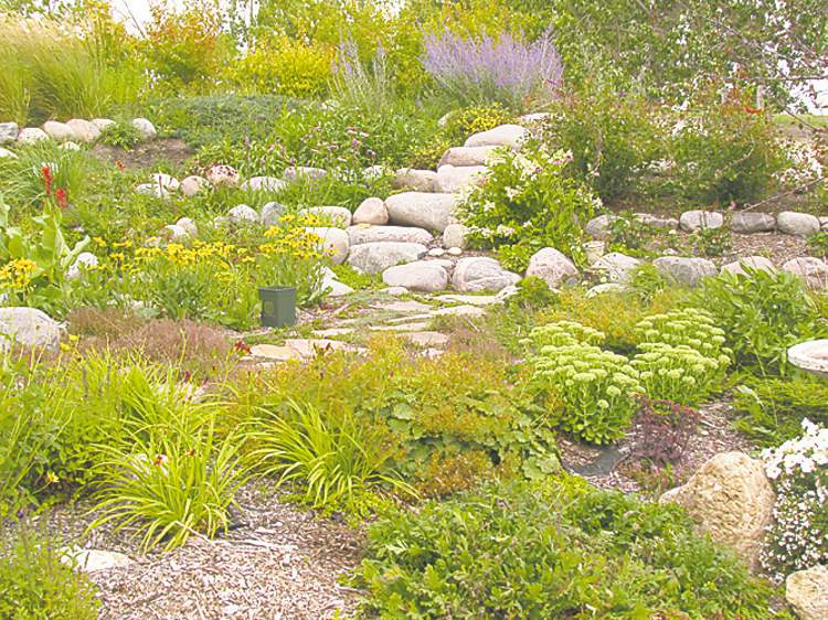 Colleen Zacharias
No ordinary dike for this farm in the RM of Ritchot. Instead, a sloping hill is planted with a variety of perennials and made all the more interesting with the addition of granite. A backhoe was used to create the stone steps.