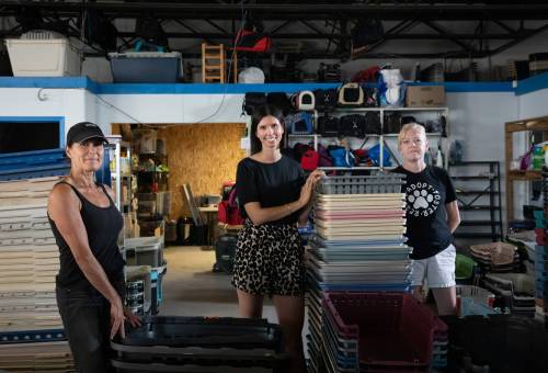 K9 Advocates Kathleen Kuzak (from left), Liz Rowe and Cristen Cournoyer are calling on the province to introduce legislation making sterilization mandatory for pets. (Jessica Lee / Winnipeg Free Press)