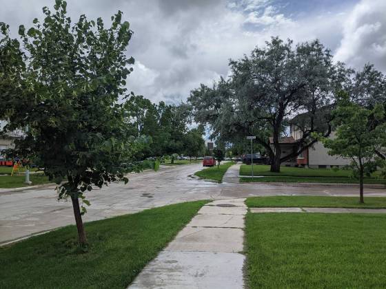 The man approached the girl and took hold of her right wrist on a Meadowlark Place sidewalk. (Chris Kitching / Winnipeg Free Press)