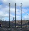 Fire damaged nearly 80 wooden hydro poles. (Supplied / Manitoba Hydro)