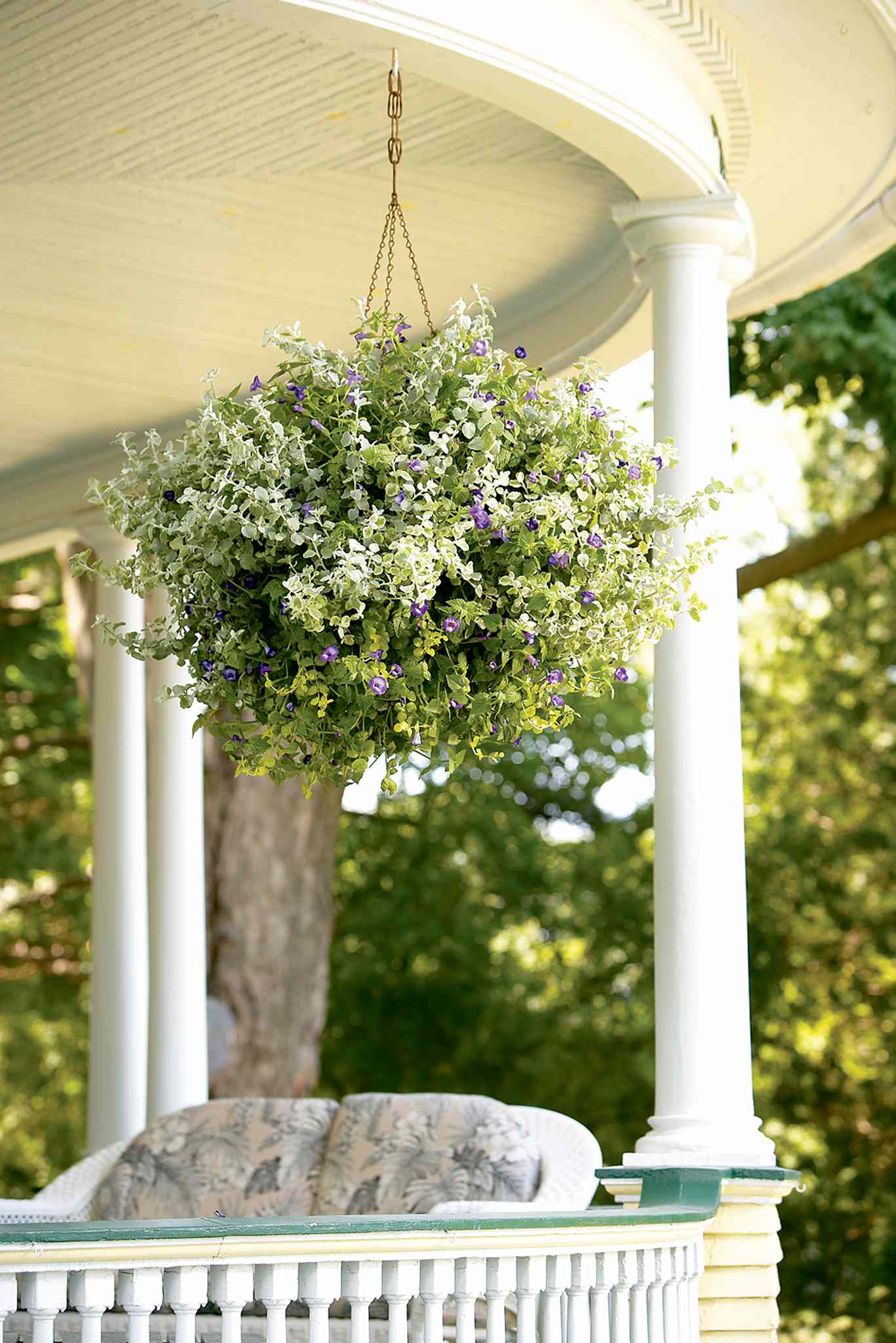 Hanging gardens – Winnipeg Free Press