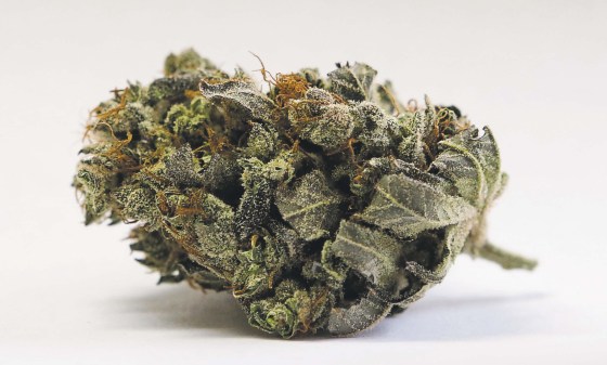 ASSOCIATED PRESS FILES