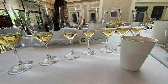 Imagine this, 12 times a day, for five days straight. That’s what judging at WineAlign’s National Wine Awards of Canada is like. (Ben Sigurdson / Winnipeg Free Press)