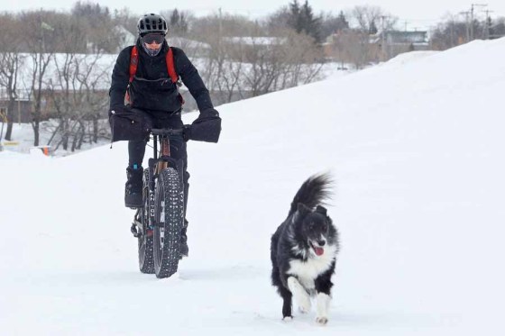Border collie Chloe leads her owner, Clayton Heppner, at Brandon’s Optimist Soccer Park on Monday. (Tim Smith / Brandon Sun)