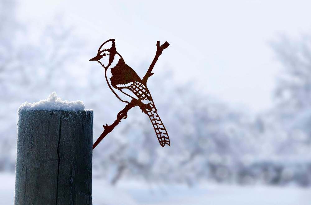 Metalbird products are made from Corten Steel to withstand any climate and develop a rusty patina.