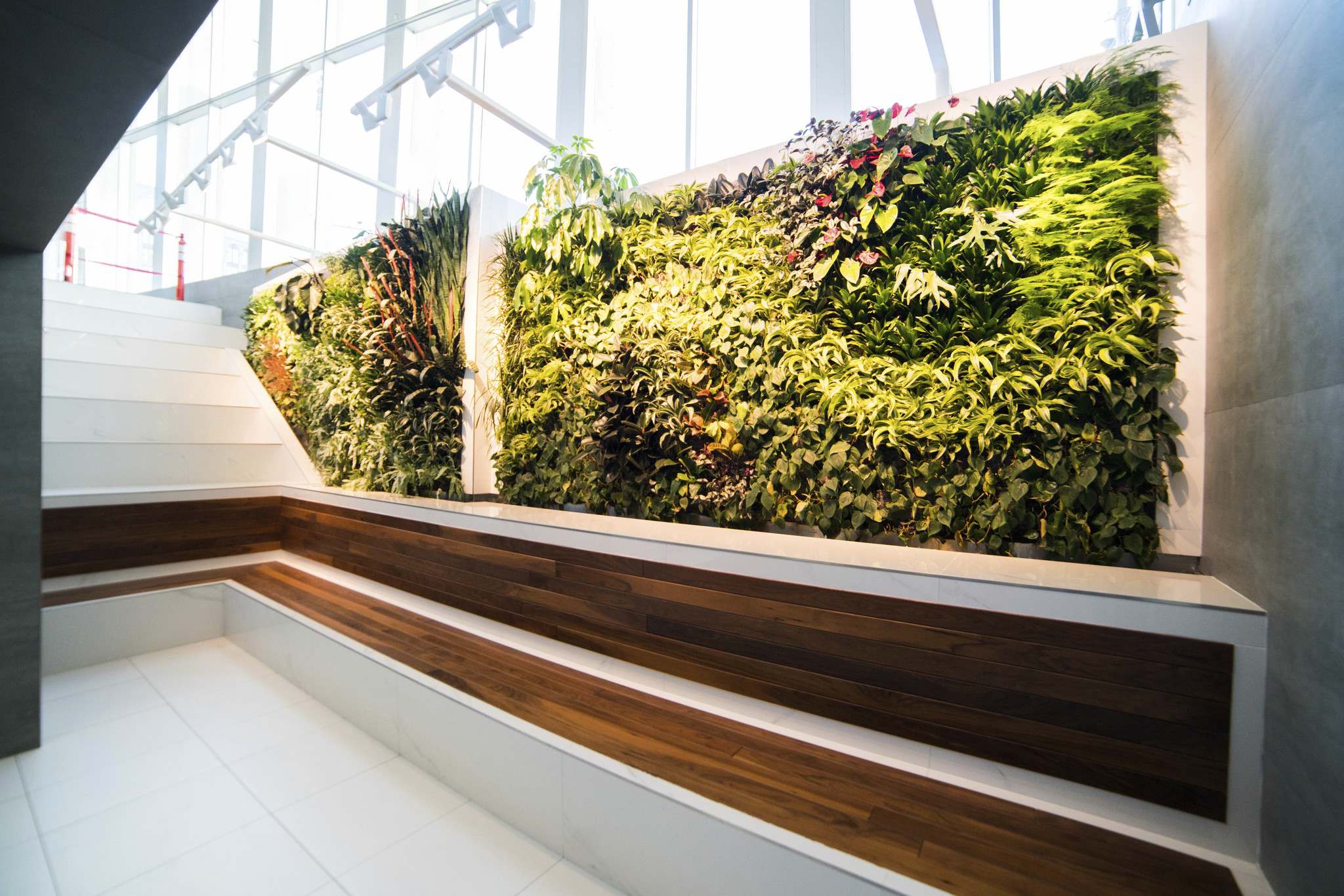 Green walls sprouting up in Winnipeg – Winnipeg Free Press