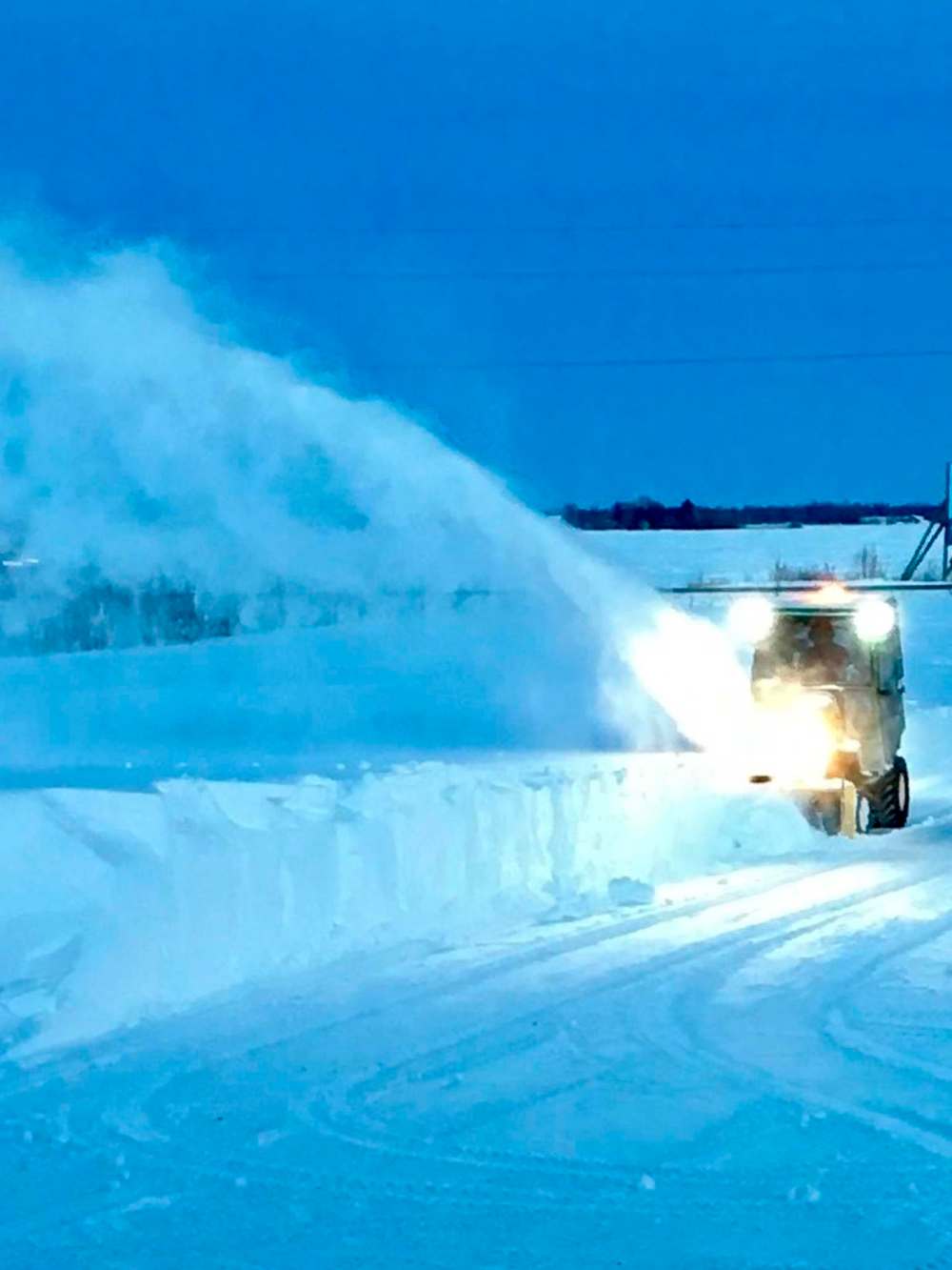 Carole Parisien Photo