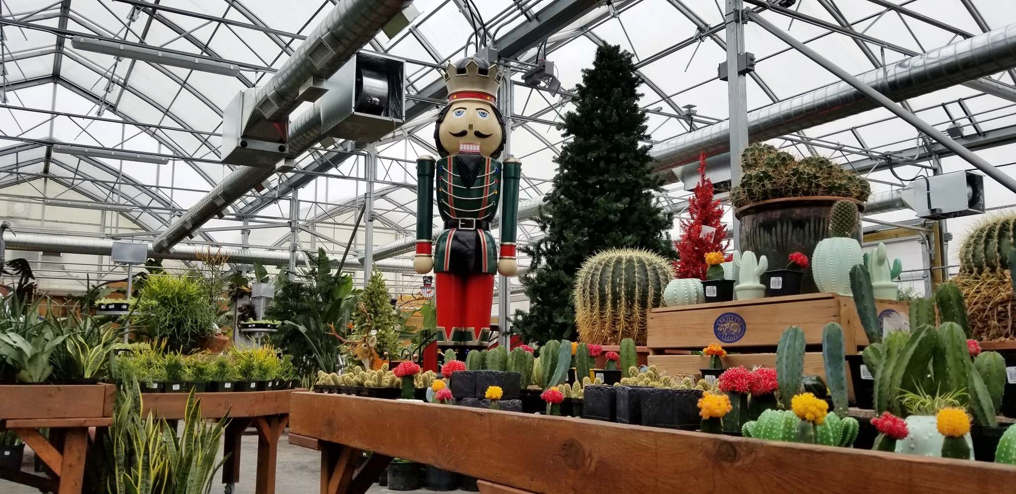 Greenhouses growing in Manitoba Winnipeg Free Press