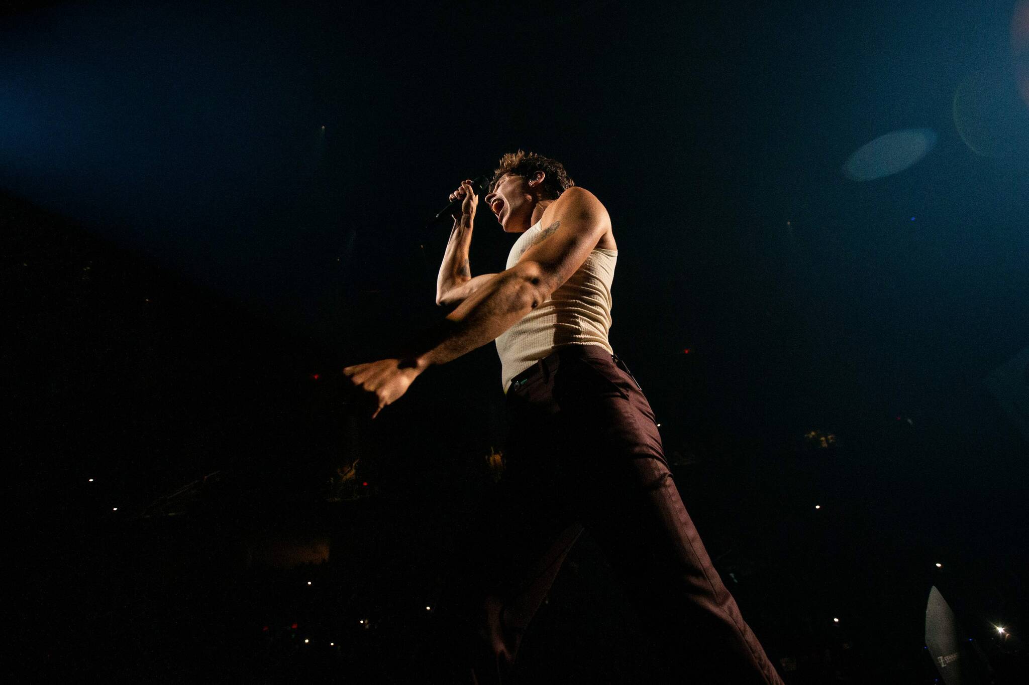 Shawn Mendes and cracking open the lie about quitting Winnipeg Free Press