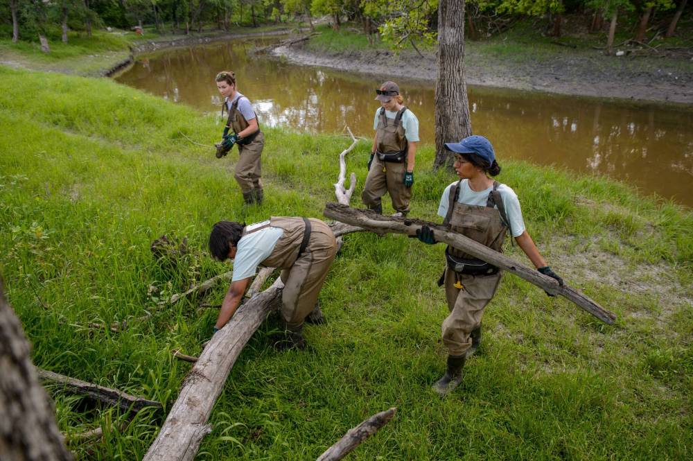 ETHAN CAIRNS / WINNIPEG FREE PRESS Team coordinator Barbara Farpelha, Abby Rodrigue, Rishtia Rajib and Brittany Guarino move a large fallen branch along the side of the Seine River blocking a trail at Happyland Park in Winnipeg, Manitoba on Wednesday, July 13, 2022.