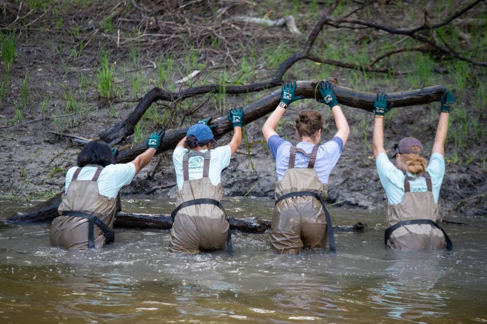 ETHAN CAIRNS / WINNIPEG FREE PRESS Rishtia Rajib, Brittany Guarino, Barbara Farpelha and Abby Rodrigue move a large fallen branch along the side of the Seine River at Happyland Park in Winnipeg, Manitoba on Wednesday, July 13, 2022.