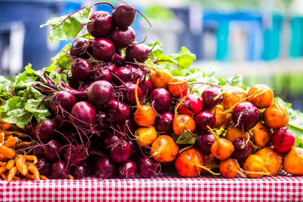 MIKAELA MACKENZIE / WINNIPEG FREE PRESS
Jonathan’s Farm produce is grown on Jonathan Stevens’ land north of the city.