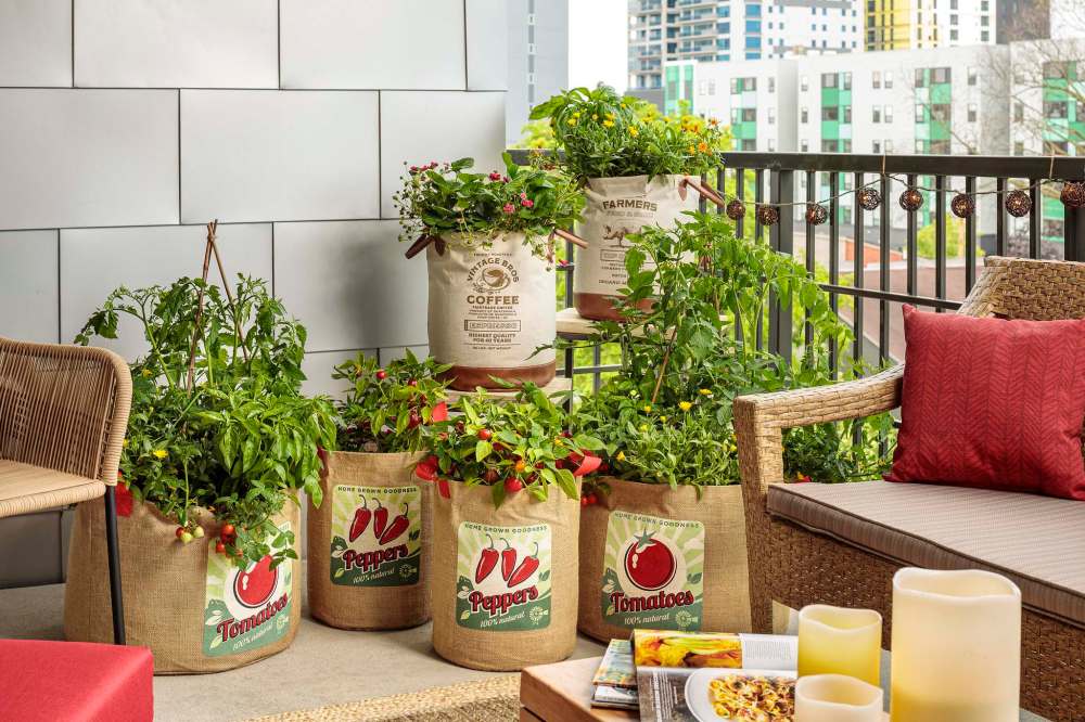 Proven Winners
Fire Away Hot and Heavy pepper and Goodhearted and Garden Gem tomato varieties are perfect for growing on your patio or balcony.