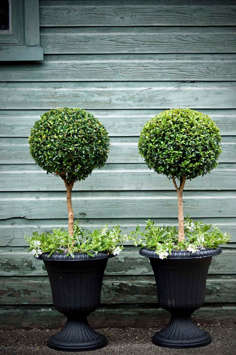 Craig Gillespie photo
In summertime, freshly clipped and potted boxwoods grace the English Garden at Assiniboine Park.