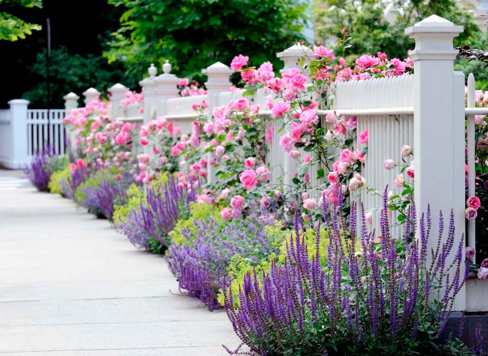 Deborah Silver
To promote sustained healthy growth in perennials, the best formula is to feed your soil.