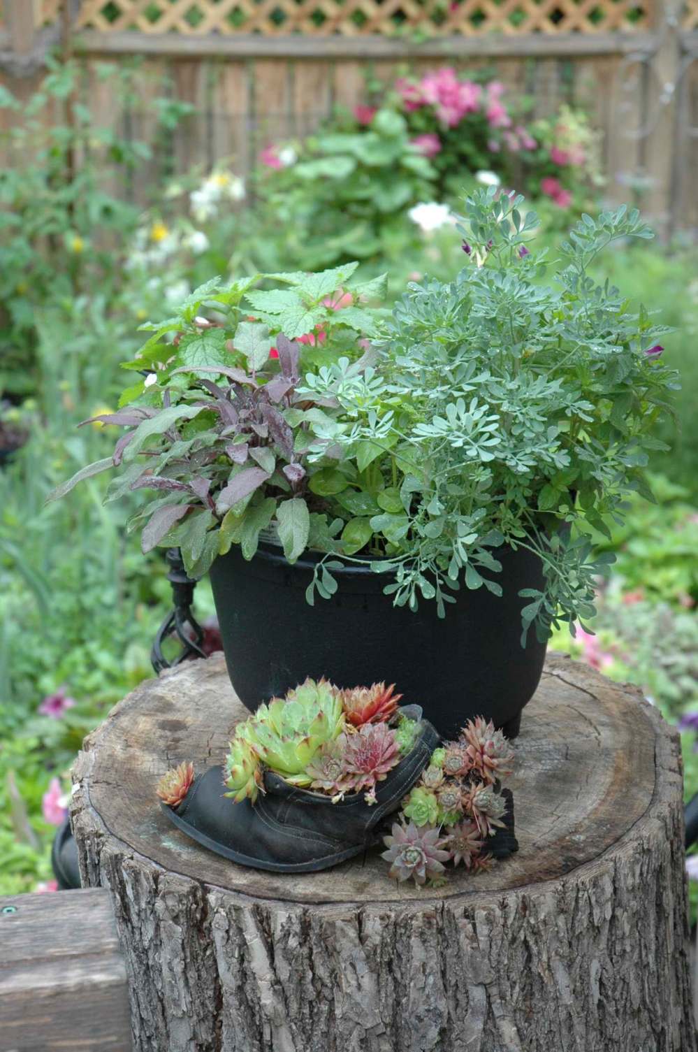 Teresa Lopata
Keep herbs happy with sunlight and water. Use only organic enhancements for edibles.