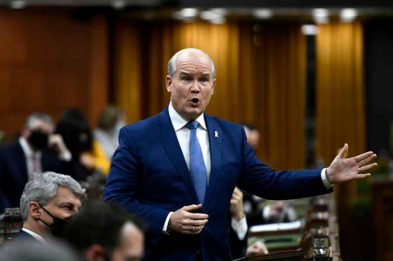 CPConservative Leader Erin O'Toole during question period in the House of Commons on Monday. (Justin Tang / The Canadian Press files)