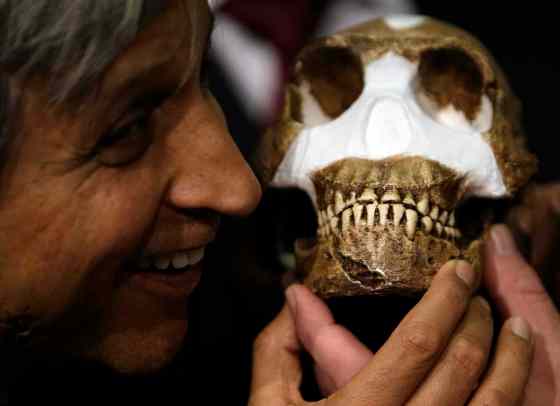 Themba Hadebe / The Associated PressProfessor Adam Habib holds a reconstruction of Homo naledi.