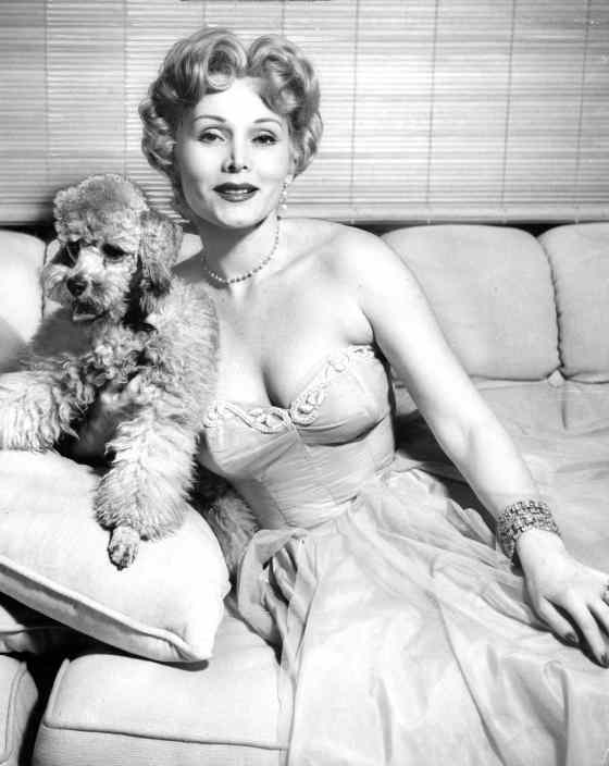 Tribune Media TNSZsa Zsa Gabor in 1952 with her French poodle.