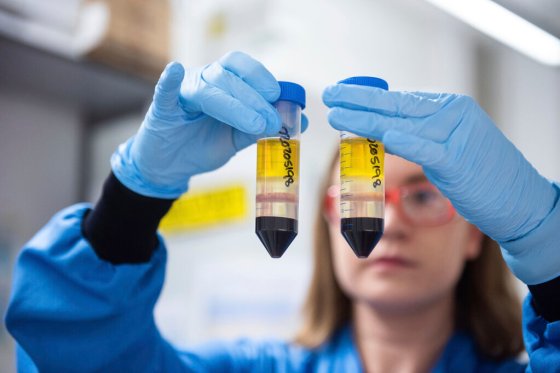CPA researcher in a laboratory at the Jenner Institute in Oxford, England, works on the coronavirus vaccine developed by AstraZeneca and Oxford University. (John Cairns / University of Oxford)
