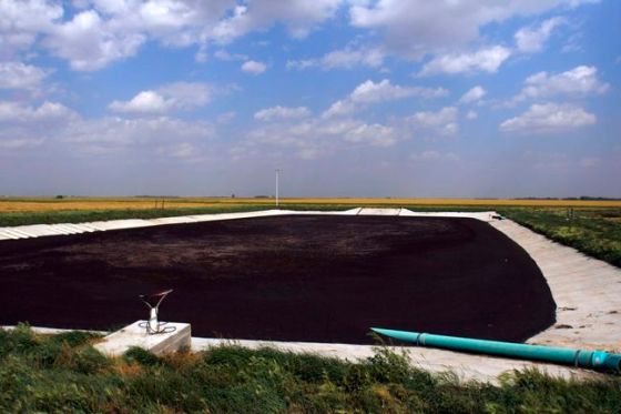 SARAH KEARNEY / FREE PRESS FILES Pig manure stored in a concrete basin is layered with hay to keep the smell to a minimum.