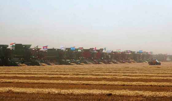Hundreds of combines harvest a crop of winter wheat to set a world record.  (Photo: PeminaValleyOnline.com)