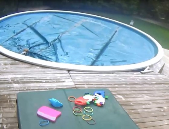 Sonny in the pool (Submitted photo)