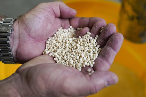 Kevin Welsh holds up PHA pellets at the Danimer Scientific plant on Wednesday, Aug. 3, 2022 in Winchester, Ky. Companies are investing billions of dollars to ramp up production of plastics made from natural, renewable materials that can be safely composted or can biodegrade under the right conditions. Danimer Scientific is one of the companies making a big bet on bioplastic with its expansion of a plant. (AP Photo/Jeff Dean)