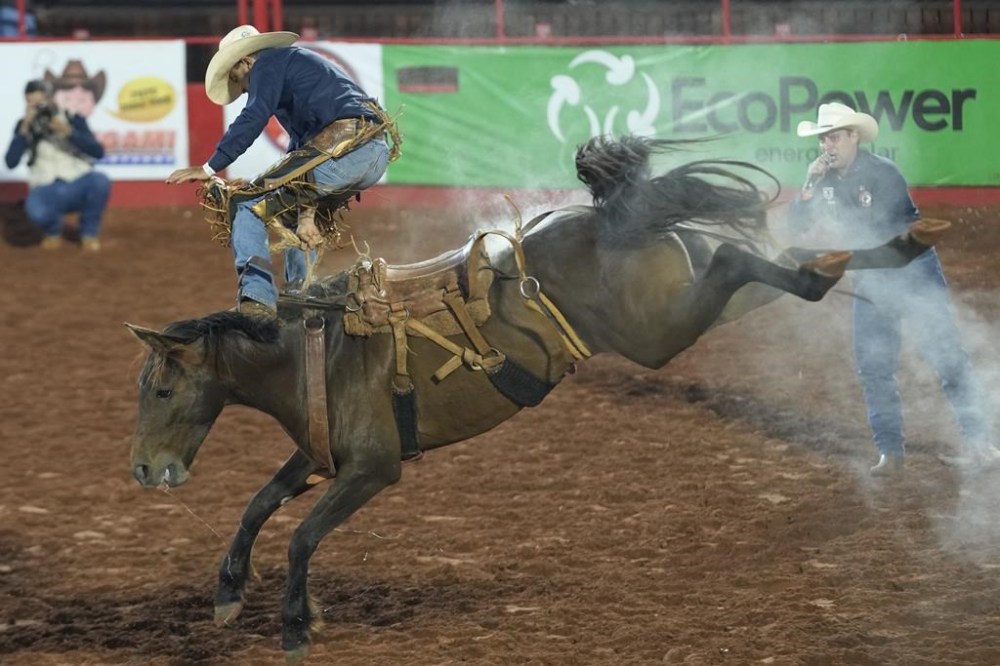 At LatAm’s biggest rodeo, Brazilians don’t believe the polls – Winnipeg ...