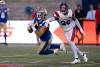 Winnipeg Blue Bombers running back Brady Oliveira catches a pass in front of Montreal Alouettes linebacker Tyrice Beverette during the second quarter. (Paul Chiasson / The Canadian Press)