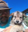Desmond Castell is fishing and feeding dogs who have not yet been evacuated from Matthias Colomb Cree Nation. (Supplied)