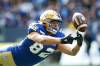 John Woods / THE CANADIAN PRESS files
                                Drew Wolitarsky is respected for his selfless play.