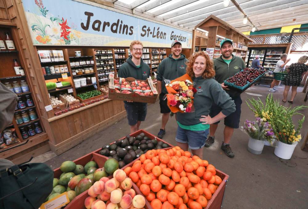 RUTH BONNEVILLE / WINNIPEG FREE PRESS
Business at Jardins St-Léon Gardens has more than doubled since the Rémillard offspring took over in 2016, but they are hesitant to claim the credit. ‘Everything we have we owe to our parents,’ says Colin Rémillard (from left), with brother Luc, sister Janelle and cousin Daniel.