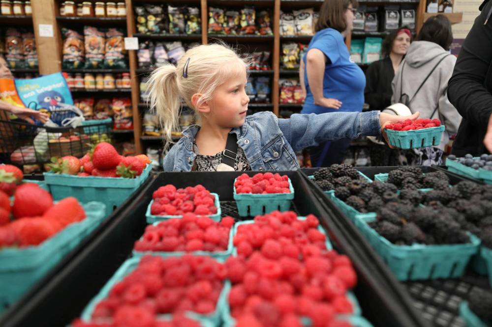 RUTH BONNEVILLE / WINNIPEG FREE PRESS
Still heartsore from the death of Denis Rémillard in January, the adult kids who took over Jardins St-Léon Gardens in 2016 wondered if they could bear opening without their father. ‘Thankfully, it’s been surprisingly joyful,’ says Janelle Rémillard.