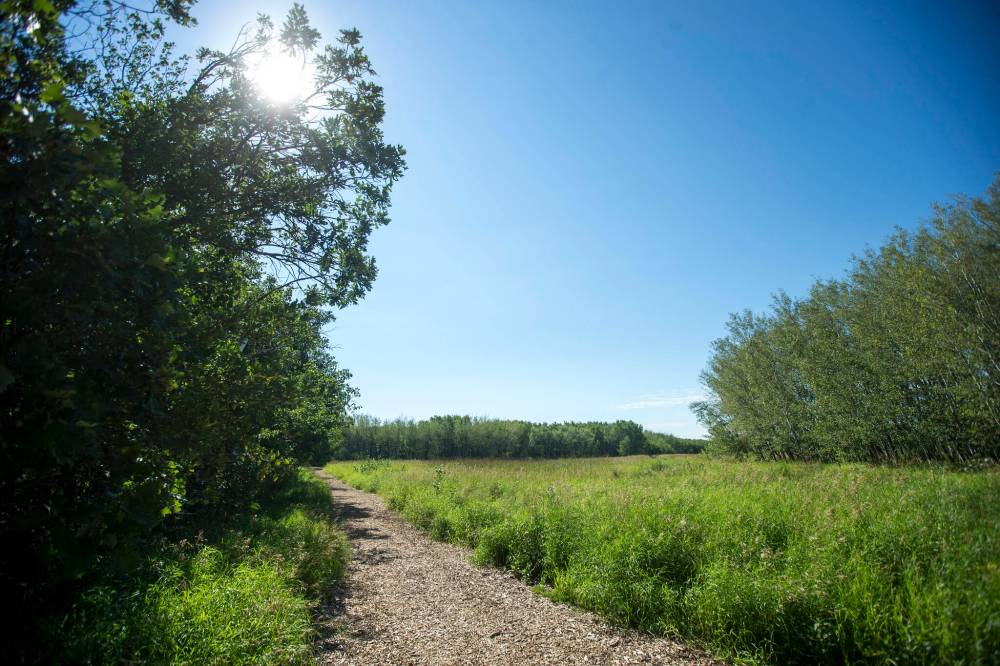 MIKAELA MACKENZIE / WINNIPEG FREE PRESS
“This investment is being made in communities across the province, benefitting all Manitobans as well as visitors
here,” Trails Manitoba president Erik Dickson said.