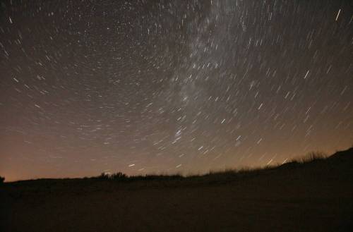 The Royal Astronomical Society of Canada designated Spruce Woods Provincial Park as the province&rsquo;s first dark-sky preserve. (Winnipeg Free Press files)