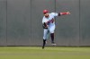 Minnesota Twins center fielder Gilberto Celestino catches a fly ball by Kansas City Royals' Salvador Perez during the first inning of a baseball game Wednesday, Sept. 14, 2022, in Minneapolis. (AP Photo/Abbie Parr)