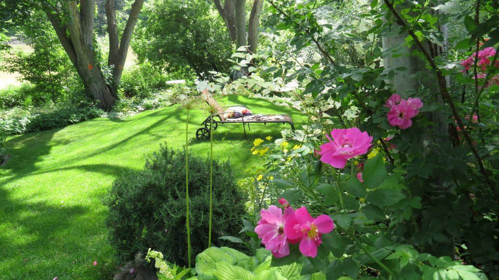 Colleen Zacharias / Winnipeg Free Press
                                Patterns of shade and dappled light frame this leafy garden overlooking Assiniboine River.