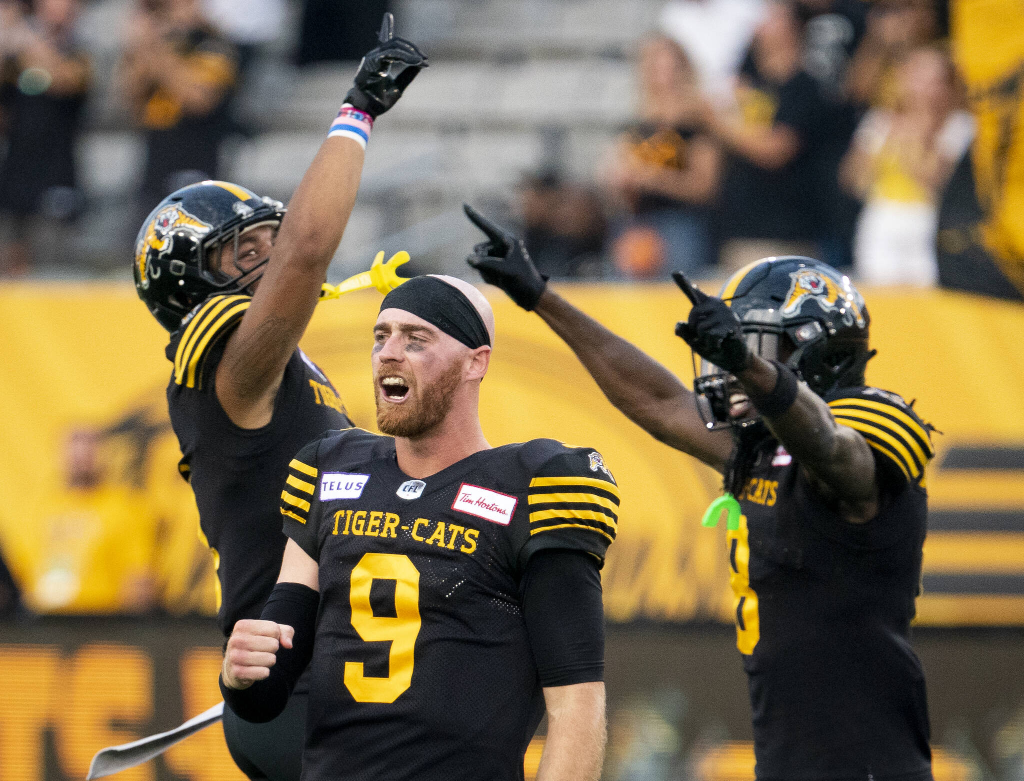 Hamilton Tiger Cats New Stadium Design