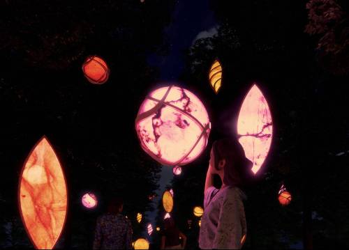 Supplied
                                Lampshades made of dried scobies &mdash; a culture of bacteria and yeast &mdash; have been dyed pink, orange, red and yellow.