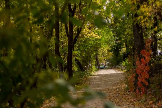 The river trail between The Forks and Churchill Drive in Winnipeg where a number of victims were sexually assaulted. (Mikaela MacKenzie / WInnipeg Free Press)