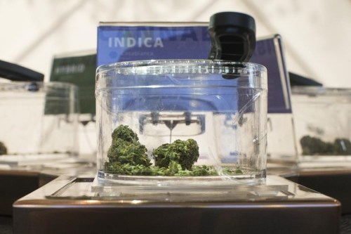 Cannabis is shown in a display jar on the first morning of opening for Toronto's 