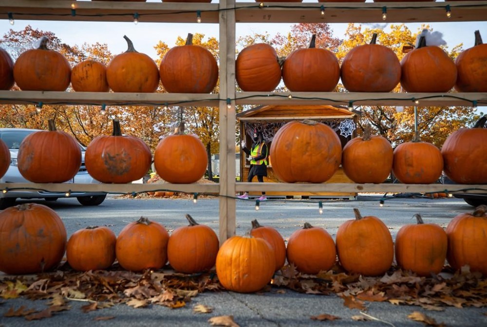 A worker is framed by a display of pumpkins while handing out candy to children during a drive-thru trick-or-treating Halloween event, at the Pacific National Exhibition grounds in Vancouver, on Saturday, Oct. 31, 2020. Agriculture experts in British Columbia say the record-setting drought has created favourable harvesting conditions for most crops this fall. THE CANADIAN PRESS/Darryl Dyck